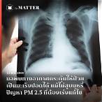 ส ปอด พลู